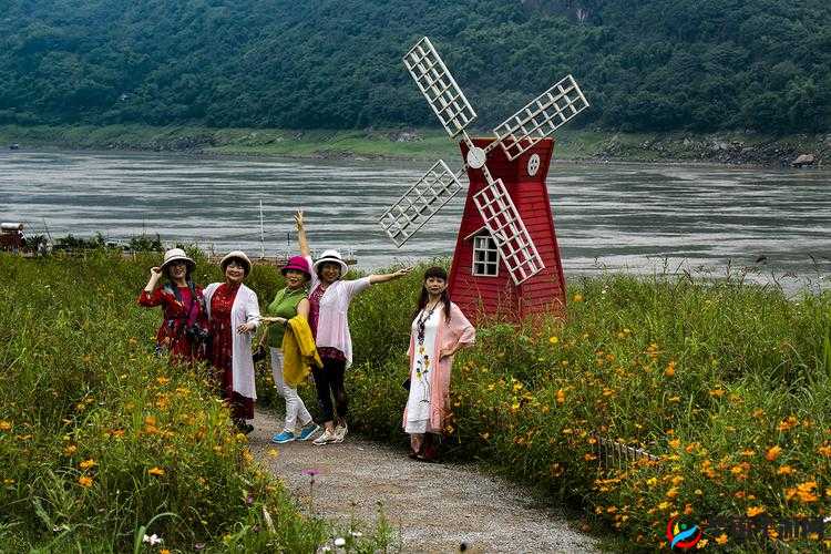 爱情岛 AQDLT 国产首页入口：畅享独特精彩之旅