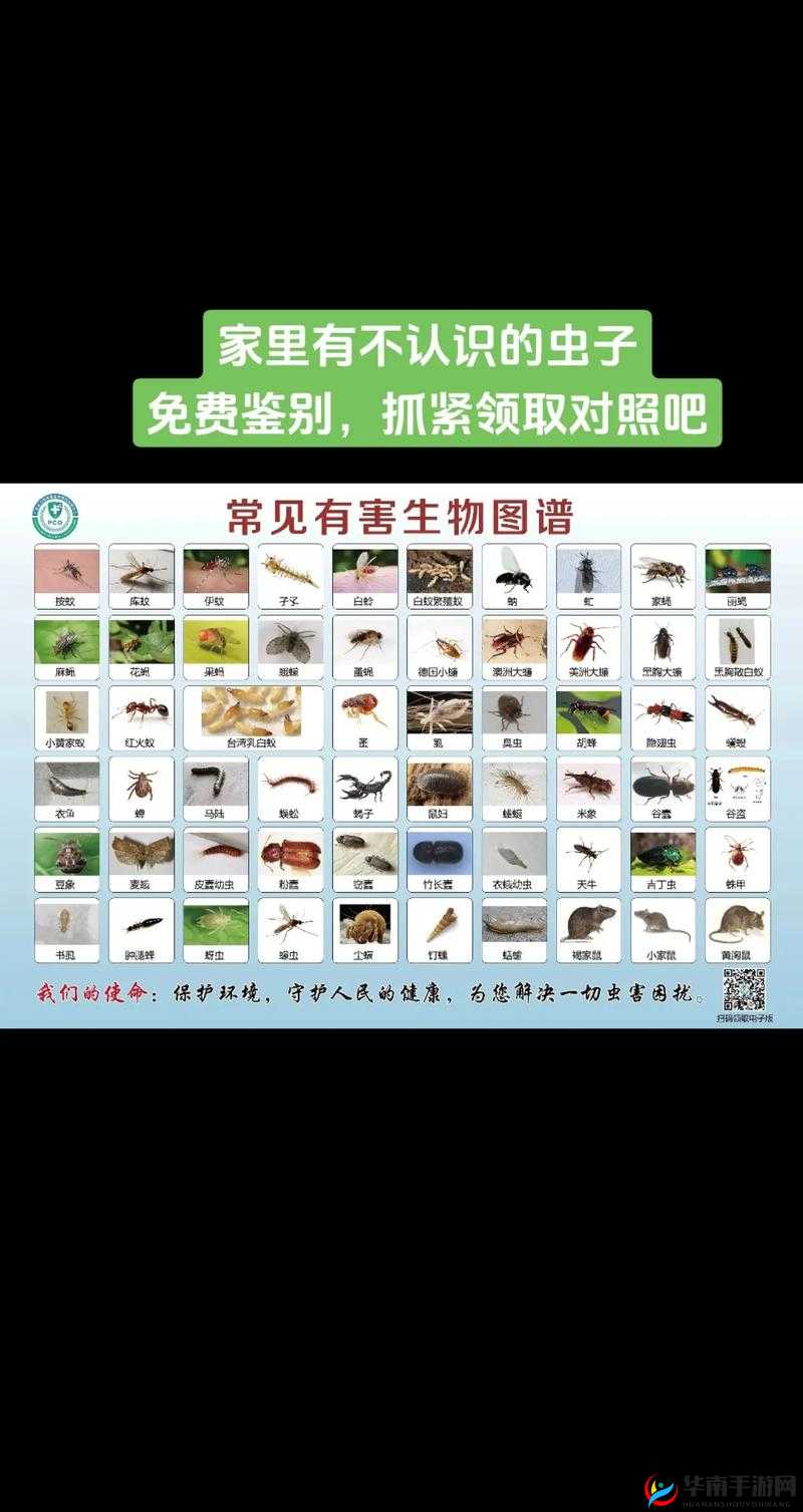 叔叔帮我看看有没有虫子呀 看看是否有虫子呢