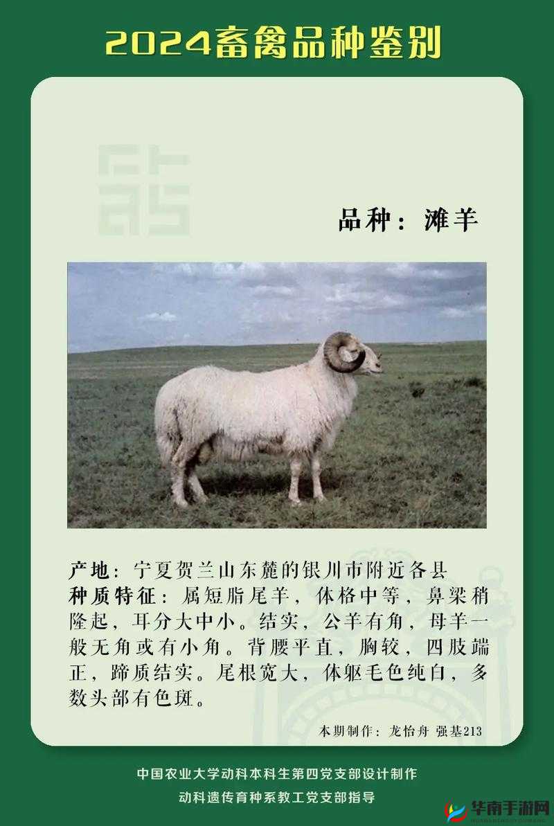 人与畜禽 CORPORATION：超越物种的共生关系