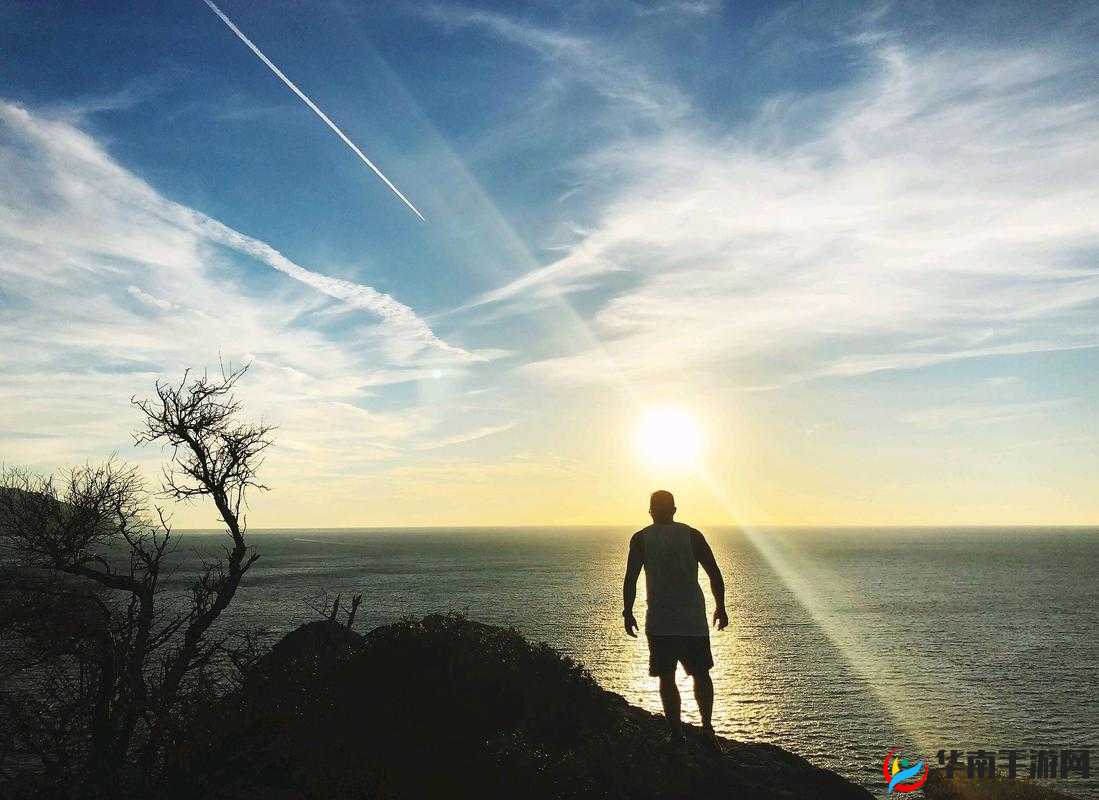 自己对准自己动：一场独特的自我探索之旅