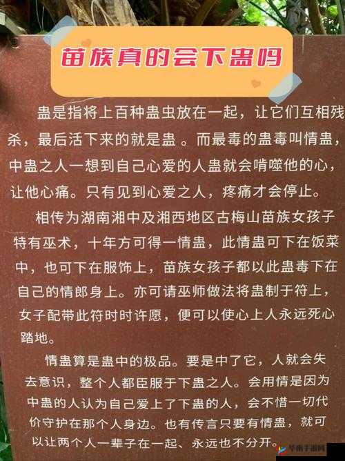 探索苗族 B 与其他苗族的独特之处：深入分析其文化差异与特色表现