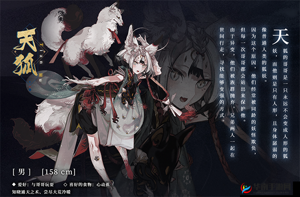 山海镜花必练SR镜灵的重要性与管理策略