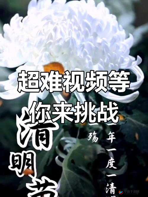 ：今晚会让你哭着求饶：全新剧情，挑战你的极限