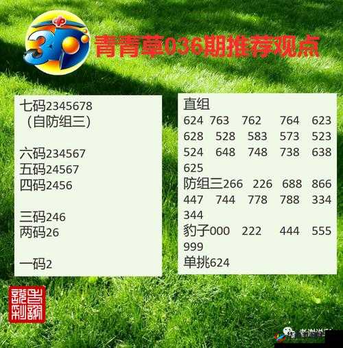 日本一码二码三码：关于其详细解读与深入分析