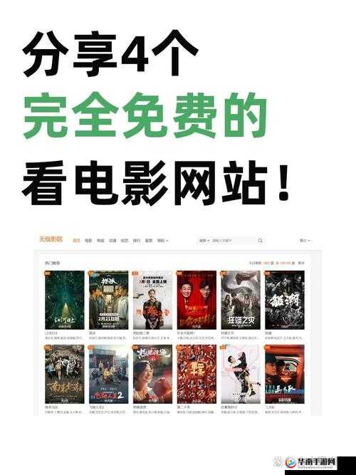 毛片网站大全：畅享海量精彩影视资源