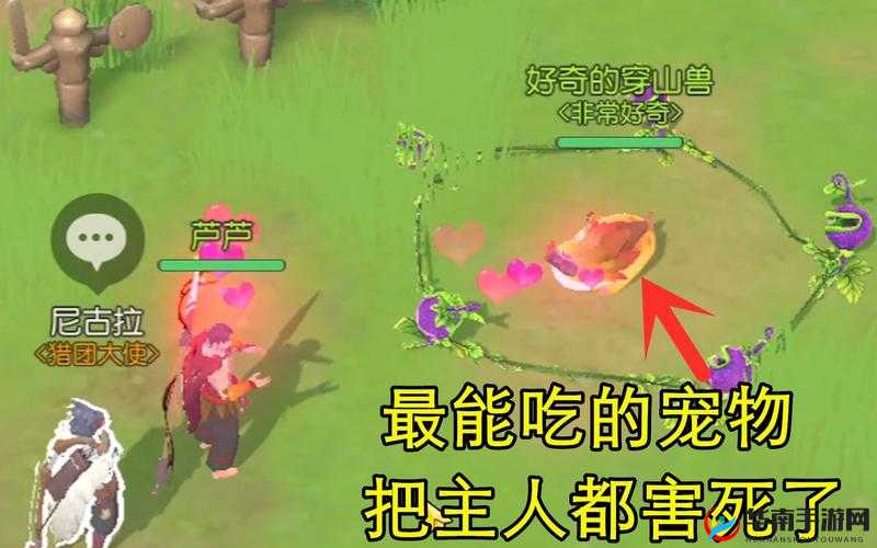 海岛纪元，探索与宠物的奇妙克制之旅