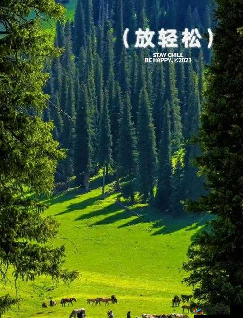 大但人文艺术免费观看：一场视觉与心灵的震撼之旅