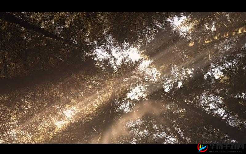 关于成品短视频的精彩呈现与独特魅力