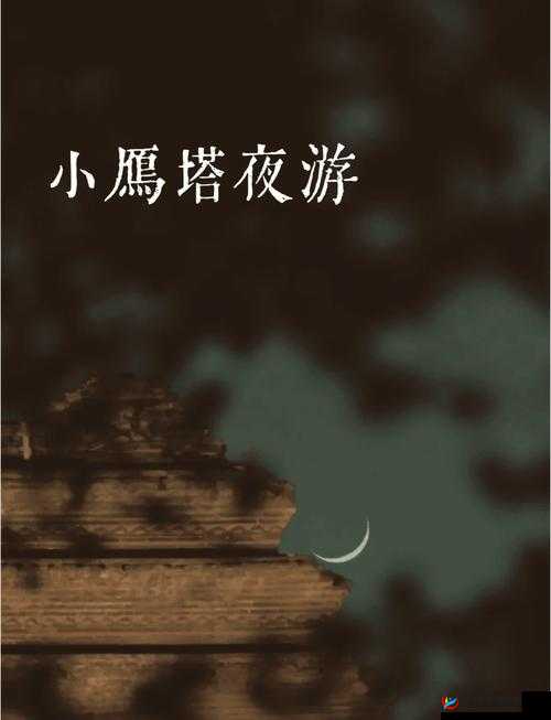 午夜黃色书之神秘探索与别样风情