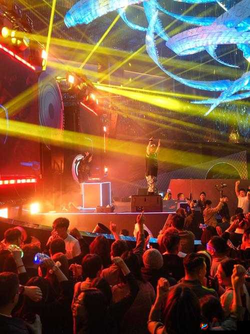 天天躁夜夜踩很很踩 2024：极致激情的狂欢盛宴