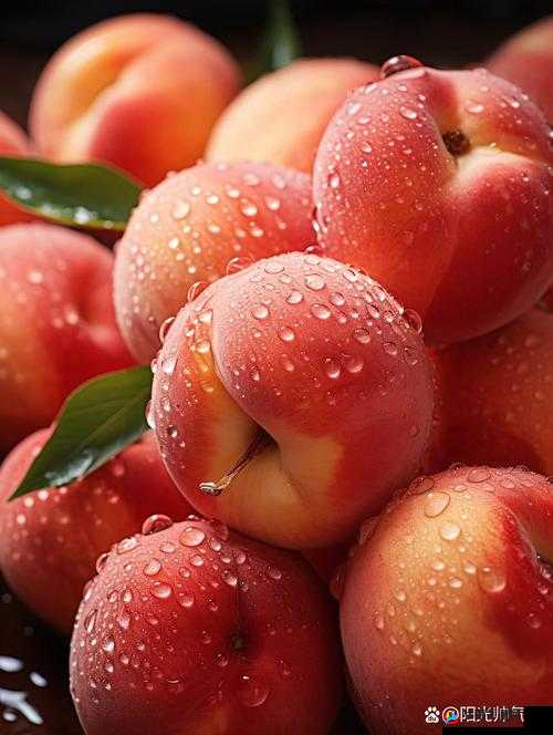 水蜜桃 18：鲜嫩多汁口感甜蜜让人回味无穷的水果