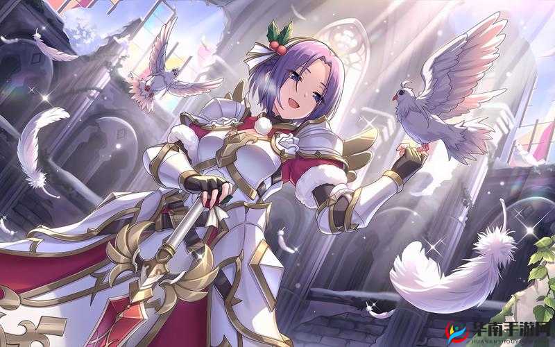 公主连结黑骑是限定吗，资源管理、高效利用与避免浪费