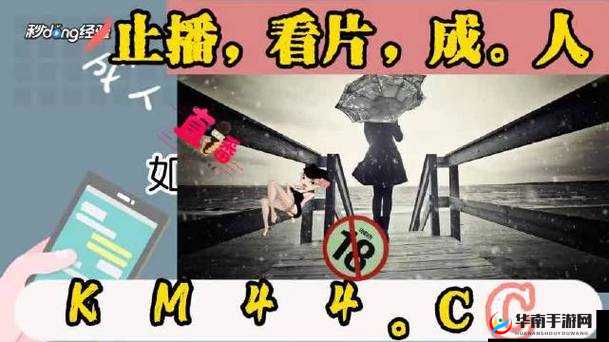 zztt 黑料没了吗：探究背后的真相