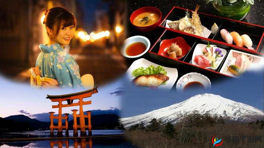 24小时日本免费看：带你领略日本的全天精彩风情