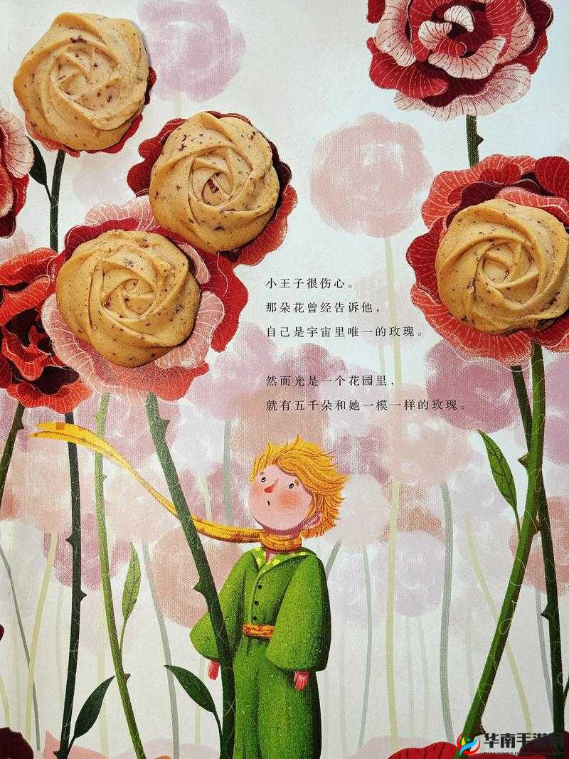 把这个放进去自己按下开关后开启奇妙之旅