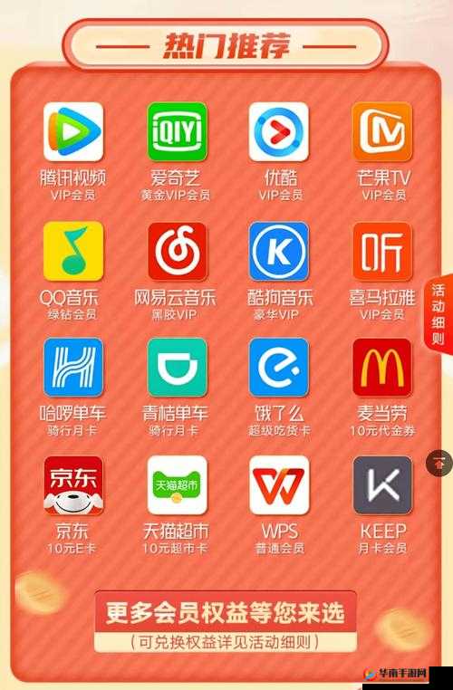 b 站 2024 年免费入口下载官网：无需会员，畅享精彩视频