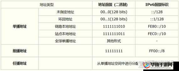 yw龙物永不换的域名是啥：关于该域名的详细探究与解析