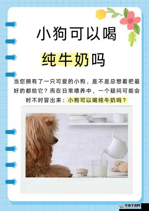 能不能在干湿我：这是一个值得深入探讨的问题