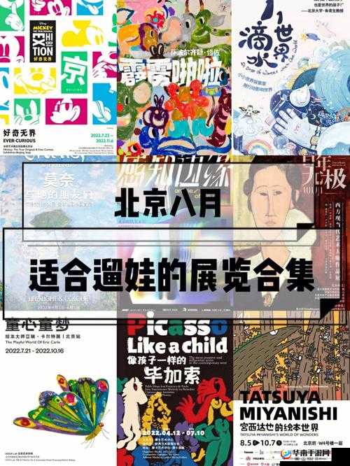 798 艺术区是私人还是国家的：关于其归属问题的深入探讨