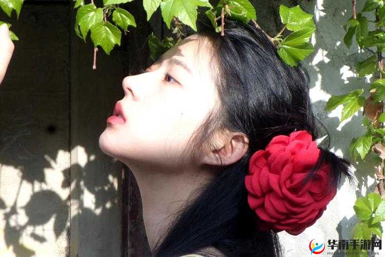 91福利免费：带来更多惊喜与欢乐