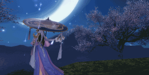 梦幻绮境一梦江湖白羽吟挂件伞动态特效全揭秘