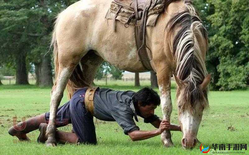 zozozo 另类人禽交危害巨大：严重违背伦理道德及身心健康