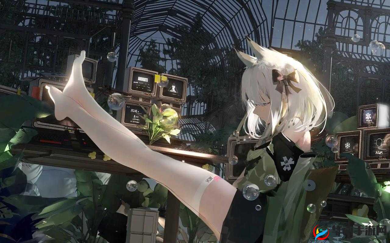 明日方舟周年庆新干员凯尔希，预见末日的贤人