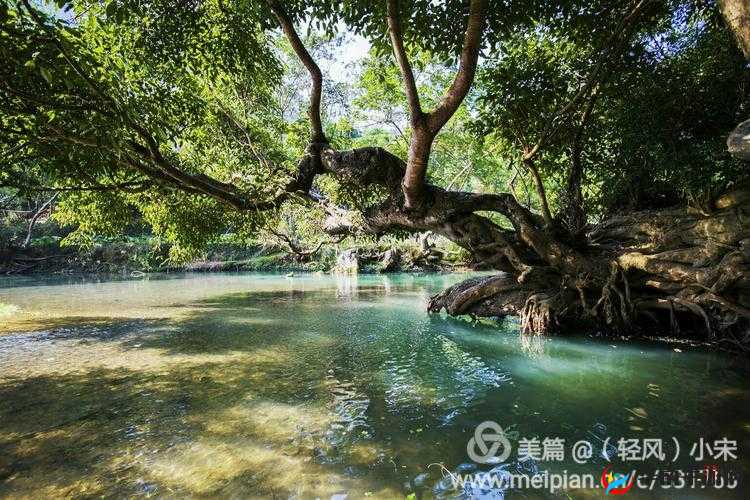 梦寻桃花源免费观看：探寻那令人向往的美好世界