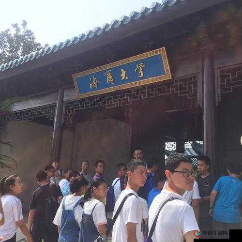 像素黄油桃子：带你领略独特的美味与魅力之旅