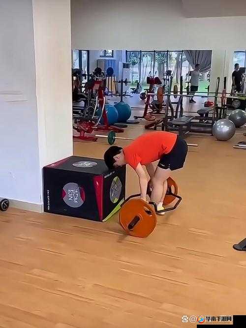 男女上下拱 120 秒：一场别开生面的体能挑战