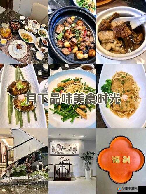 全国高端空降快餐：带来极致美食体验与便捷服务