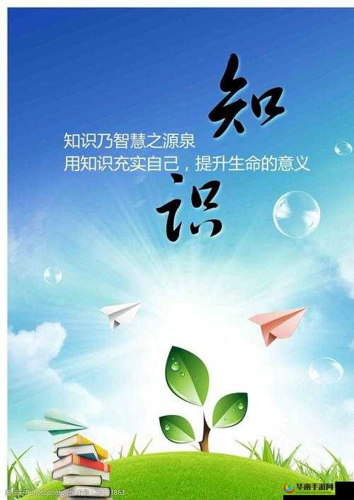 锵锵锵锵锵锵好大 MBA 智能图库：开启知识探索之旅