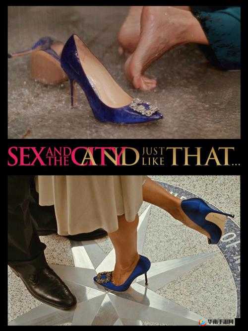 欲望都市：堕落的寡妇：HD 中文版