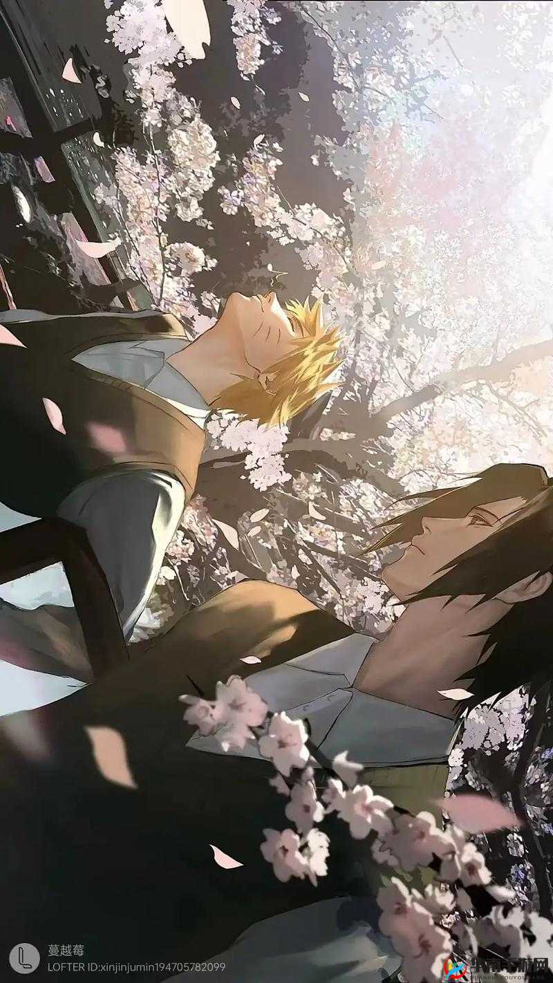 火影忍者二次元床单：忍者的热血与羁绊