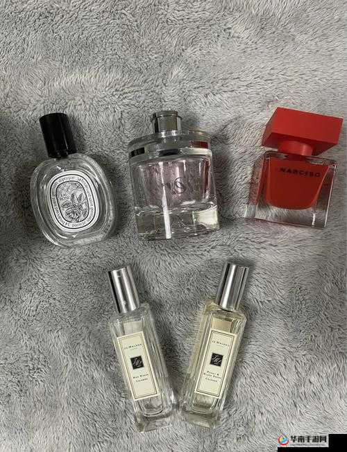 香水纯 siss282 的独特魅力与精彩演绎