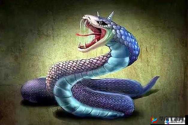 蛇王的尾巴高ah竟然有这种神奇功能：探秘背后的未知秘密