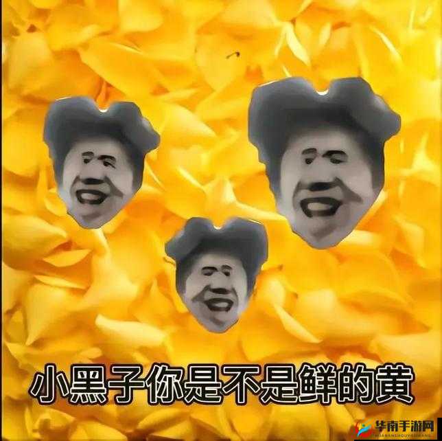 鸡你太美：学渣坐在学霸鸡上背单词新增弹幕互动