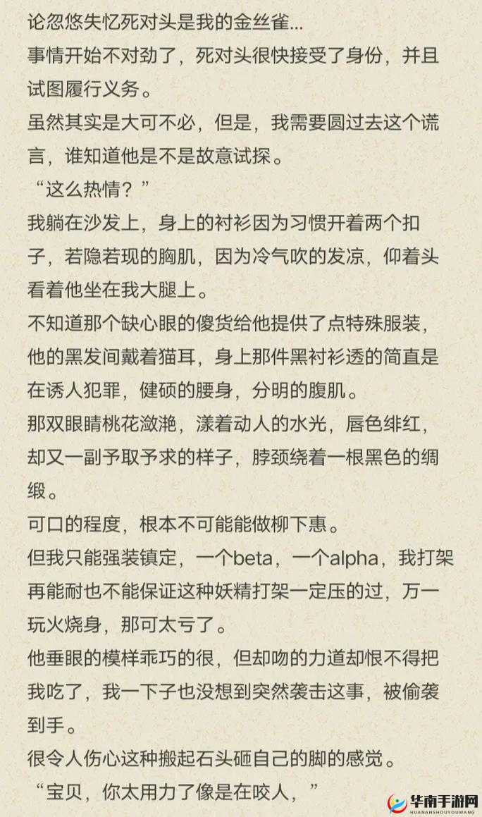 车速超高废文双男主图片：禁忌之恋的疯狂追逐