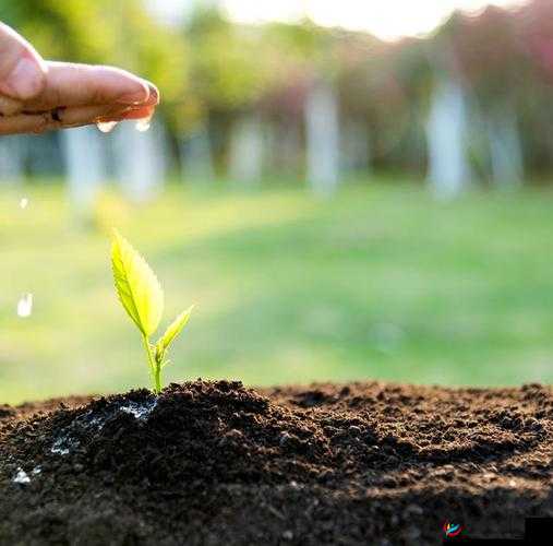 浇灌母亲肥沃土地，滋养生命之花绽放