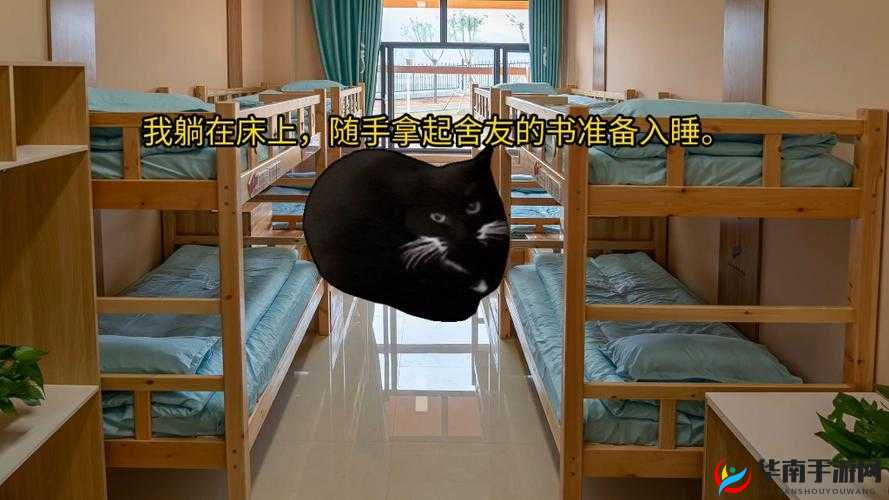 宿舍 h3c 骨科：骨科兄弟情的宿舍故事