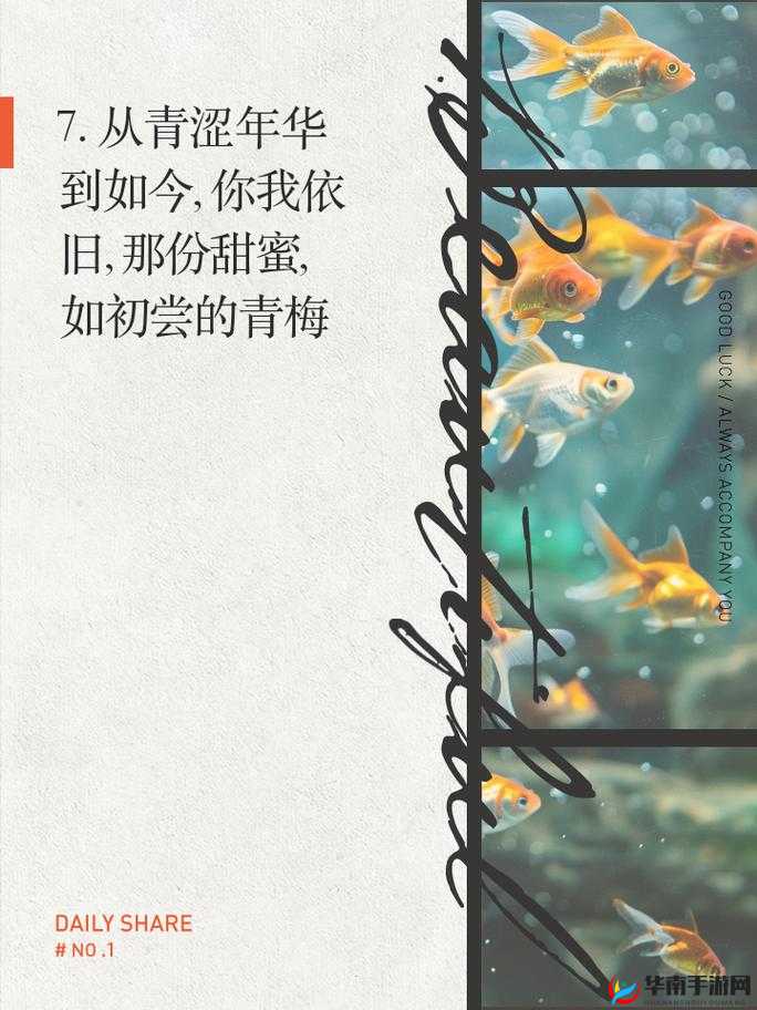 被青梅竹马的学弟给锁定了娱乐圈：一段娱乐圈的浪漫追逐之旅