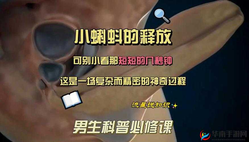 关于蝌蚪窝一个释放蝌蚪的网站相关情况探讨