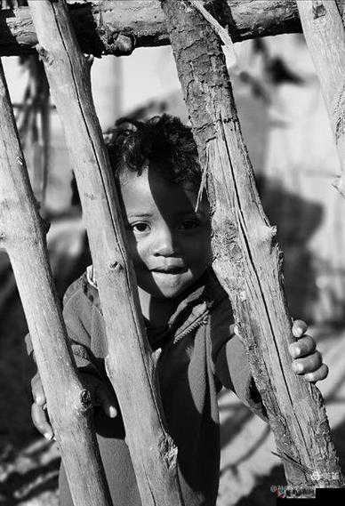 韩国三色电费王：探秘其背后的故事与影响