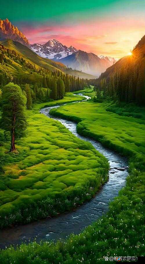 芳草萋萋流水潺潺美不可言：如此迷人的自然景观