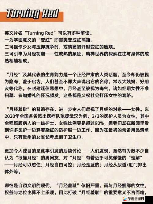 日本 XX1819 相关事件引发的深刻思考与探讨