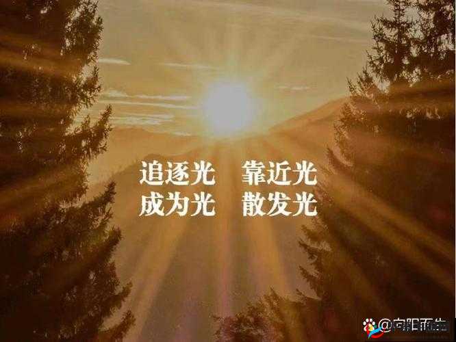 My 请牢记不迷路：指引前行的正确方向