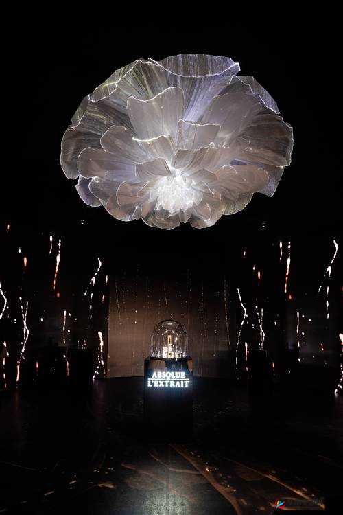 久久久久久 69：永恒的经典，超越时间的艺术