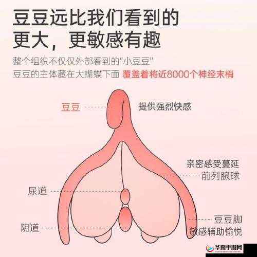 激情在线：体验极致高潮的私密空间