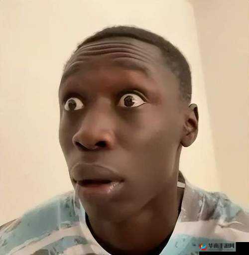 欧美最猛黑人XXXX黑人表情：探秘其独特魅力与影响力