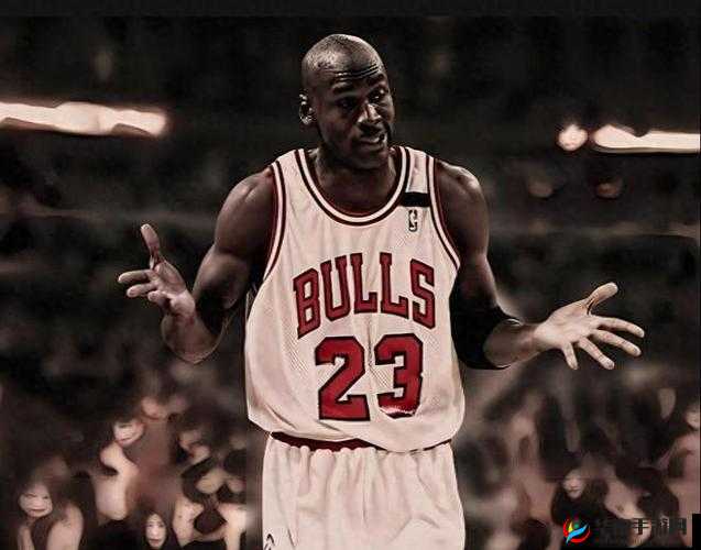 乔丹与黑人之间的争议性话题探讨